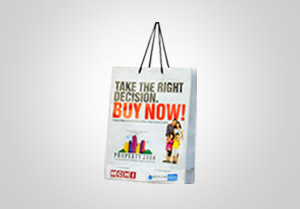 Promotional Paper Bags
